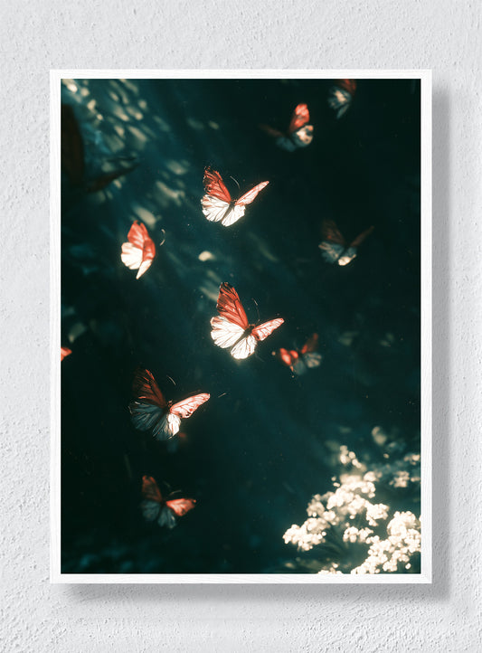 BUTTERFLIES AFTER DARK - White Frame