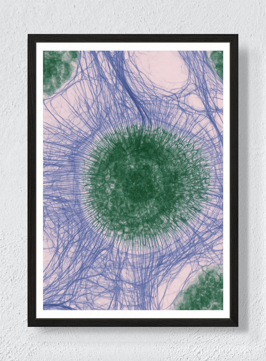 CIRCLES OF CONNECTION - Black frame canvas