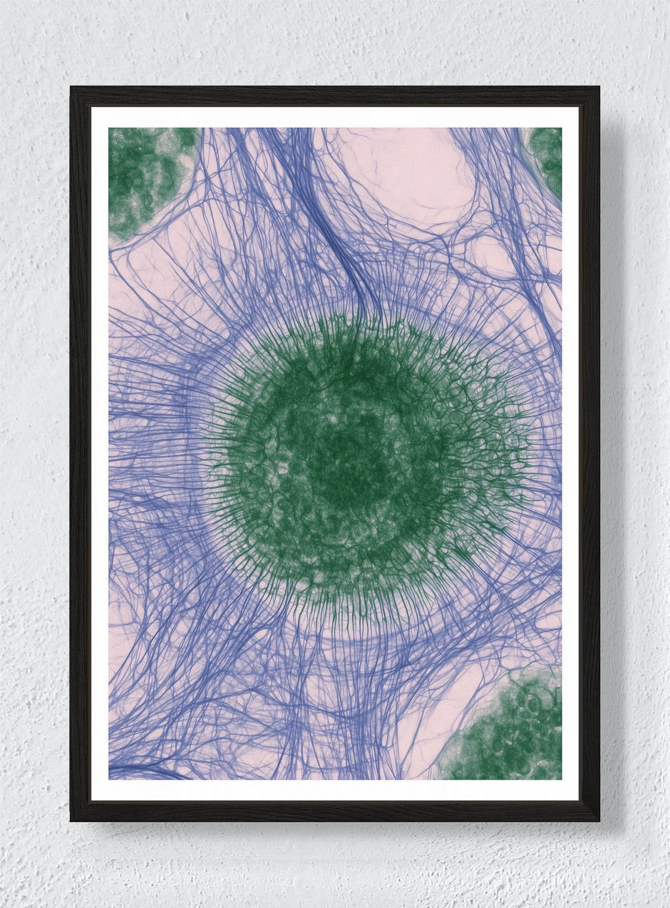 CIRCLES OF CONNECTION - Black frame canvas