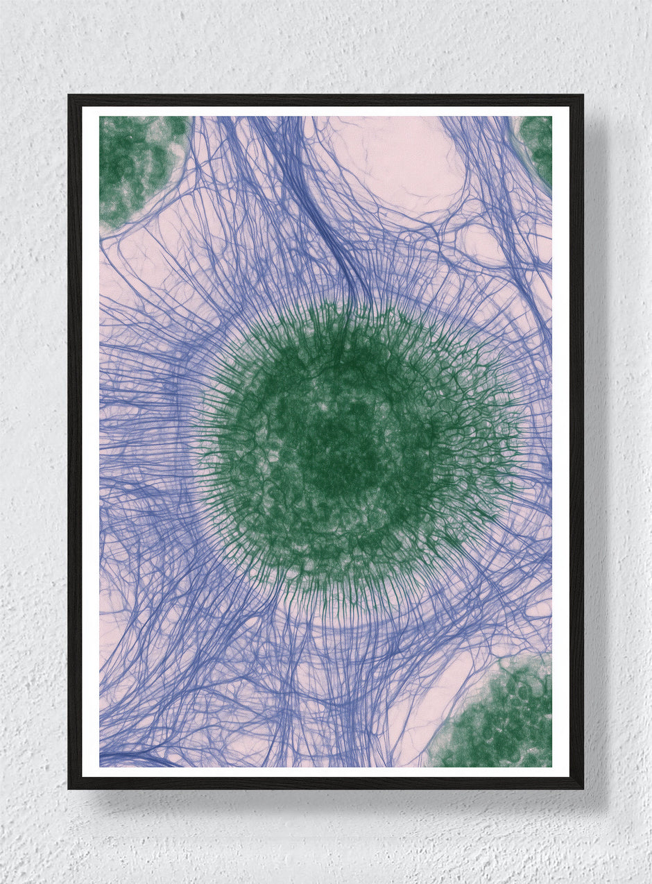 CIRCLES OF CONNECTION - Black Frame