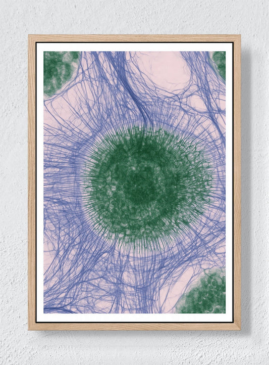 CIRCLES OF CONNECTION - Natural frame canvas