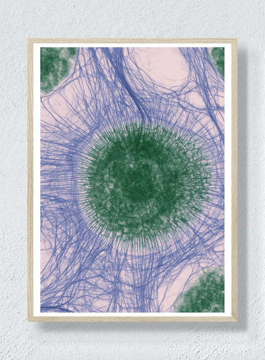 CIRCLES OF CONNECTION - Natural Frame