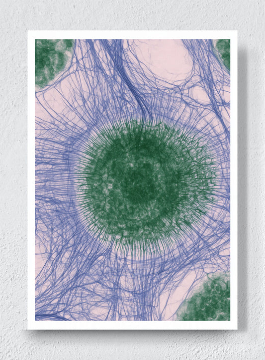 CIRCLES OF CONNECTION - Unframed canvas