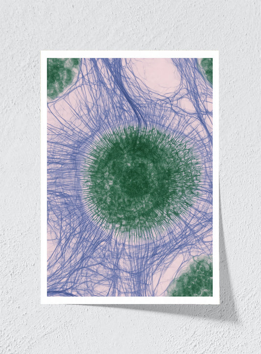CIRCLES OF CONNECTION - Unframed