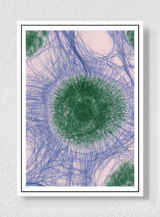 CIRCLES OF CONNECTION - White frame canvas