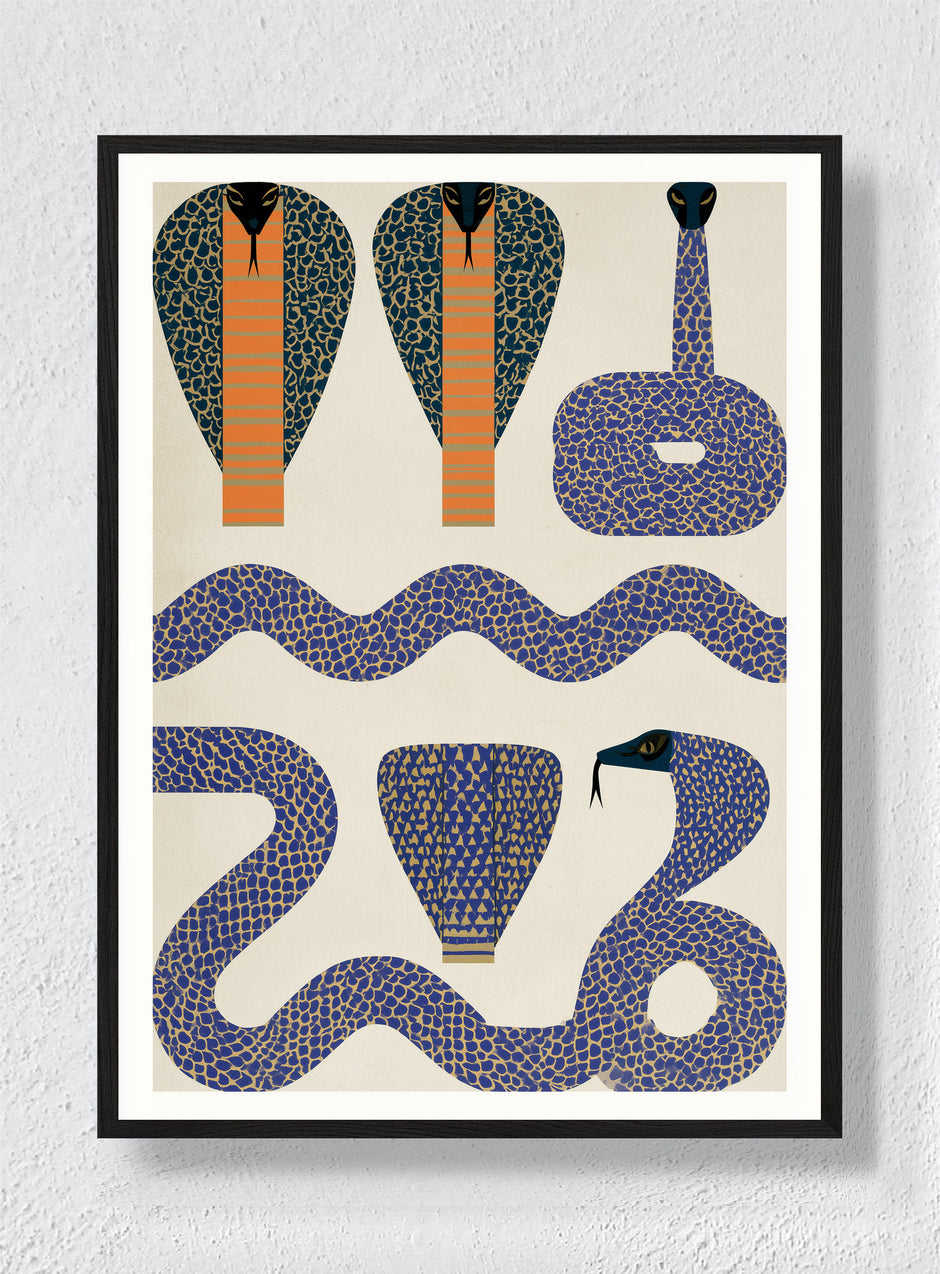 COBRA PATTERN - Black Frame