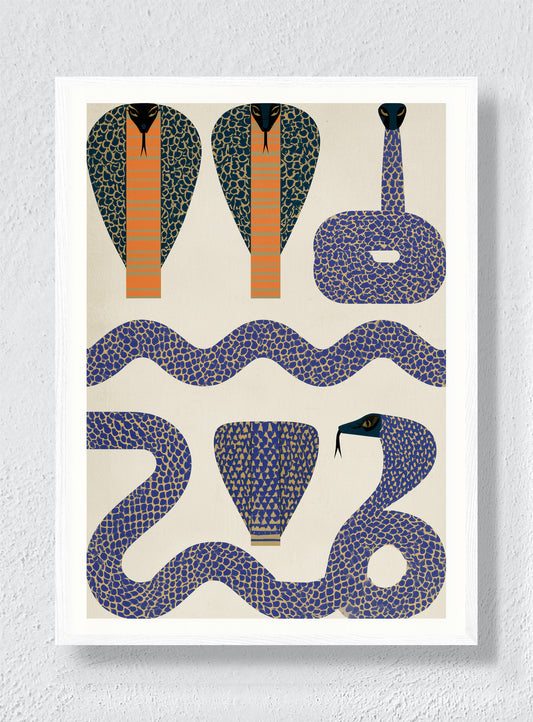 COBRA PATTERN - White Frame