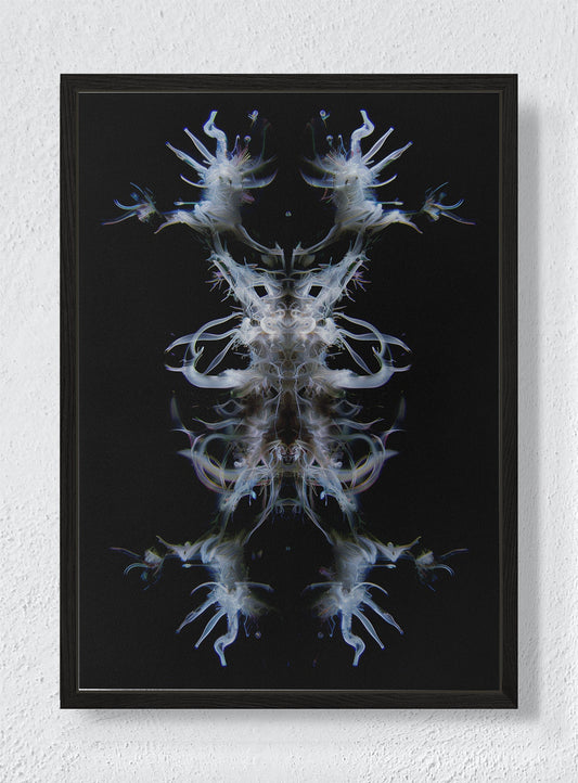 EMBA - Black frame canvas