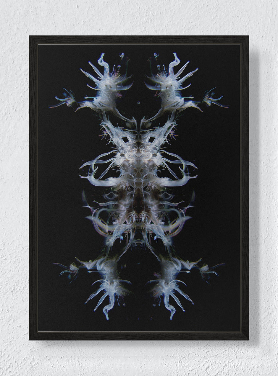EMBA - Black frame canvas