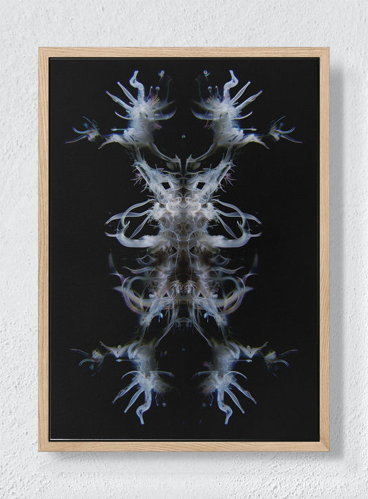 EMBA - Natural frame canvas
