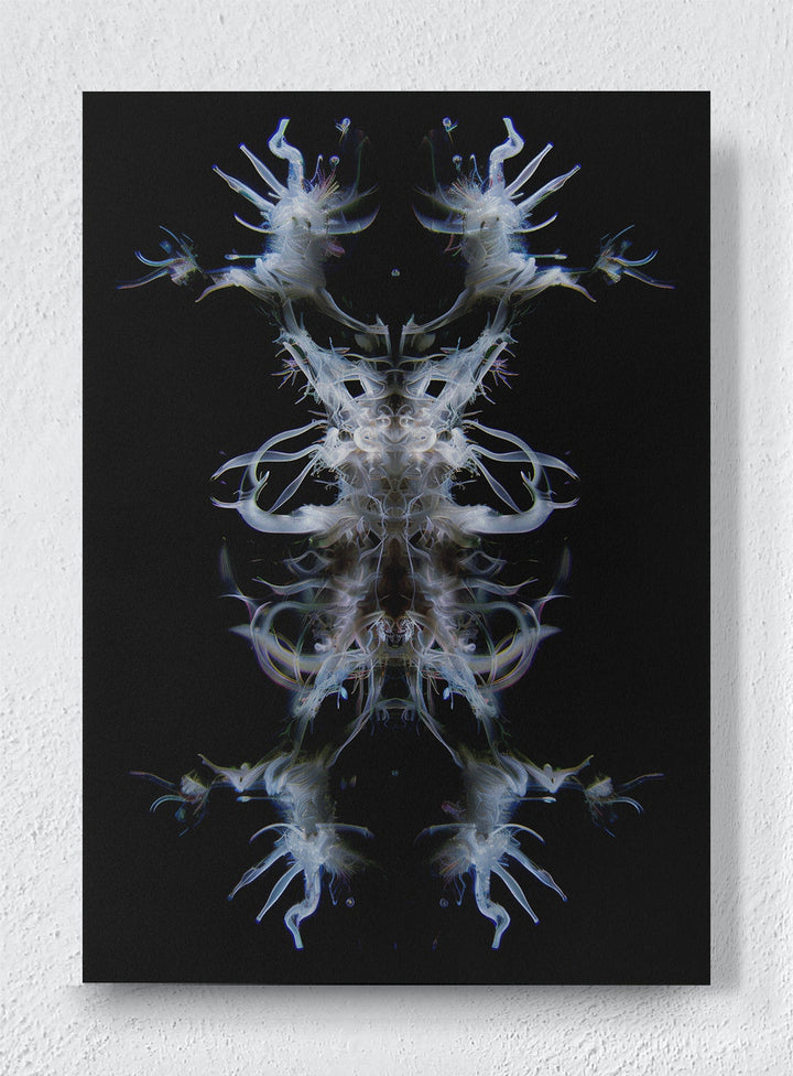 EMBA - Unframed canvas