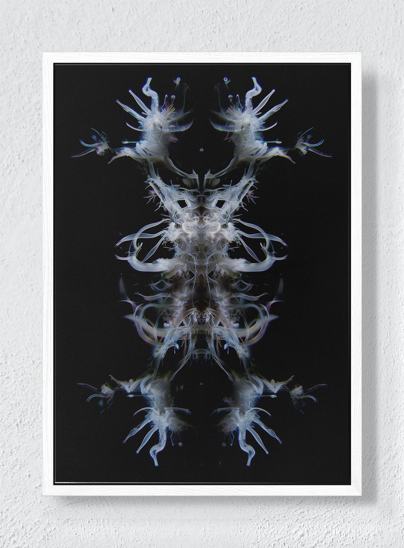 EMBA - White frame canvas