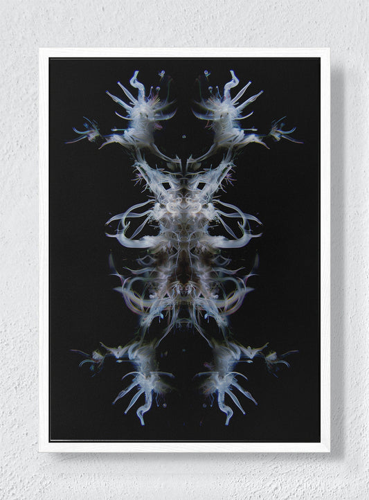 EMBA - White frame canvas
