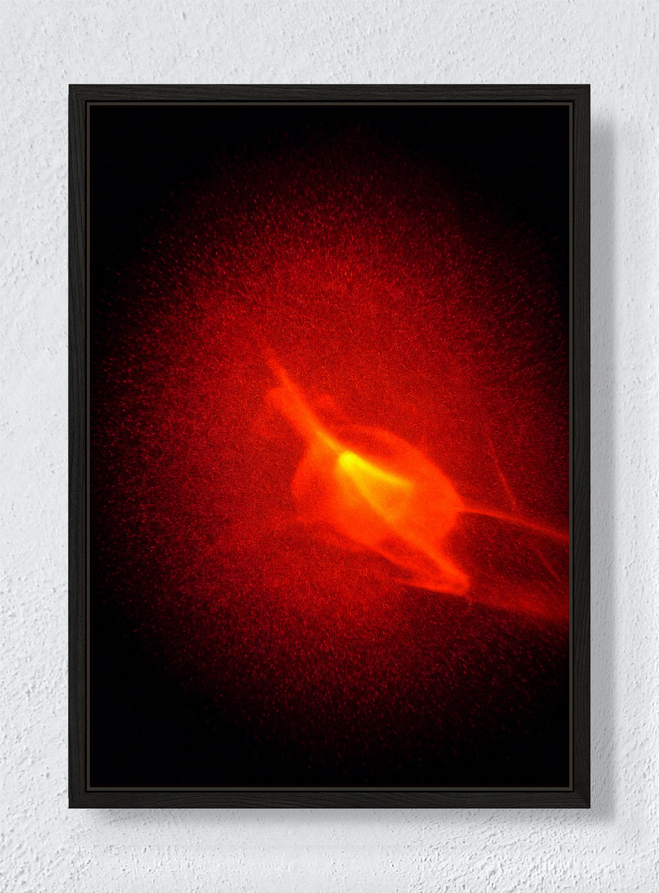 EMBER BLOOM - Black frame canvas