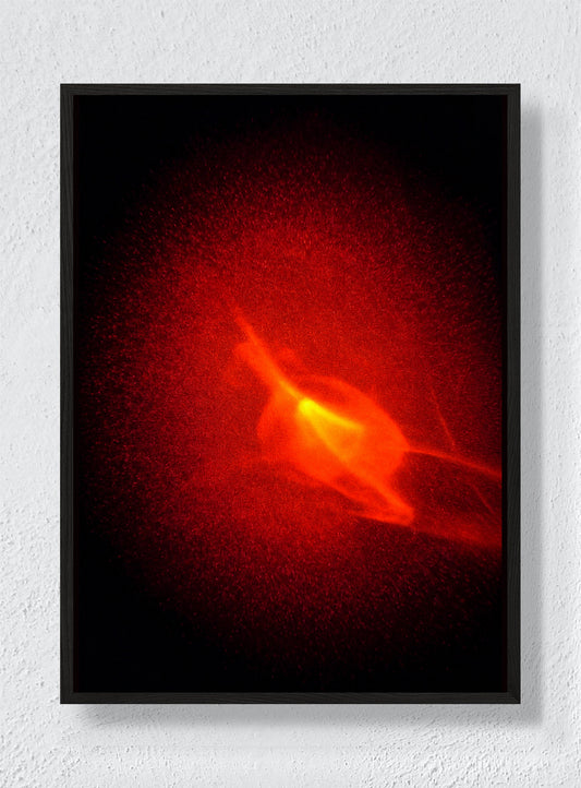 Ember Bloom - Black Frame