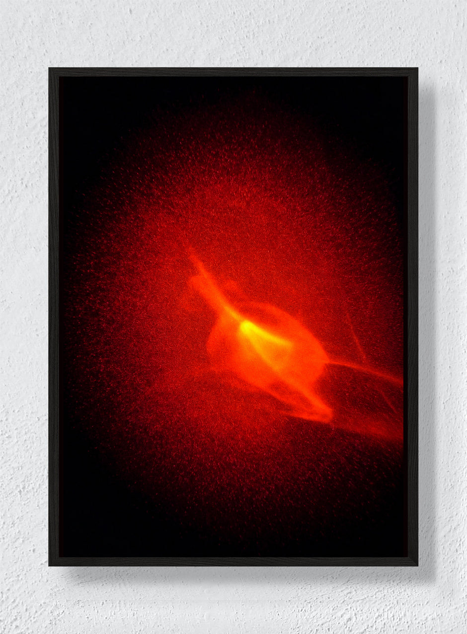 Ember Bloom - Black Frame