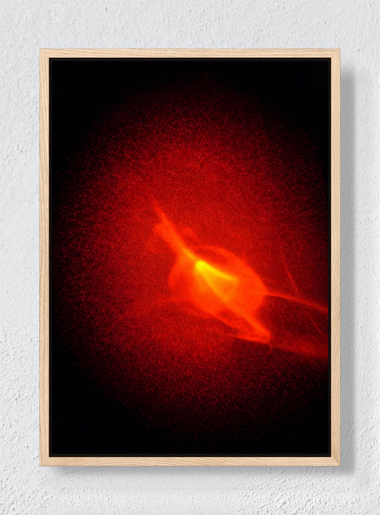 EMBER BLOOM - Natural frame canvas
