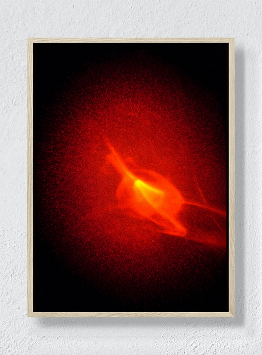 Ember Bloom - Natural Frame