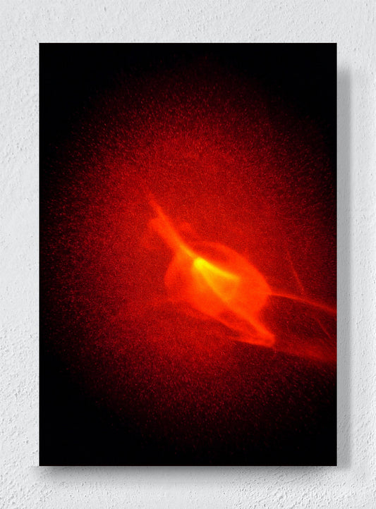 EMBER BLOOM - Unframed canvas