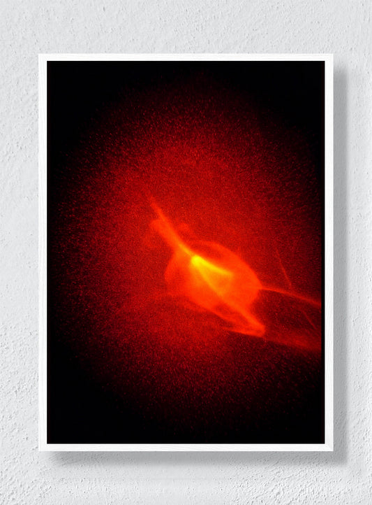 Ember Bloom - White Frame
