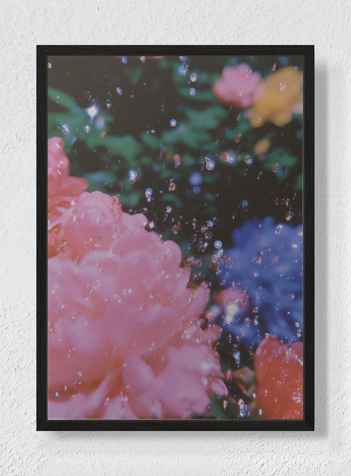 EUPHORIA - Black frame canvas