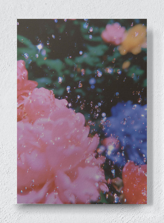EUPHORIA - Unframed canvas