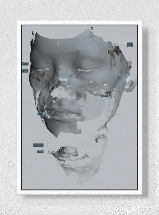 FACE BETWEEN FRAGMENTS - White frame canvas