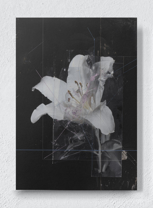 FADED MEMORY - Unframed canvas