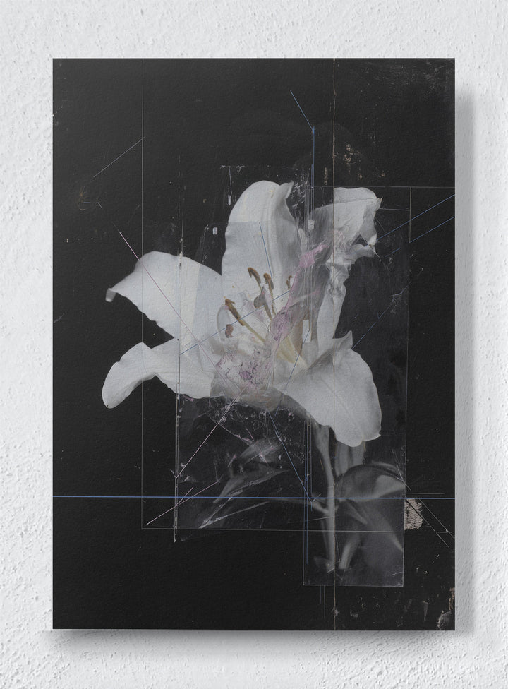 FADED MEMORY - Unframed canvas