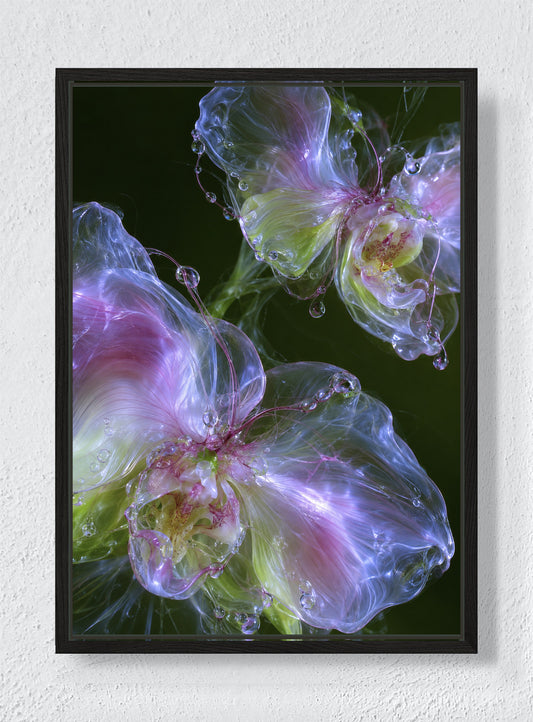 GLASS ORCHID - Black frame canvas