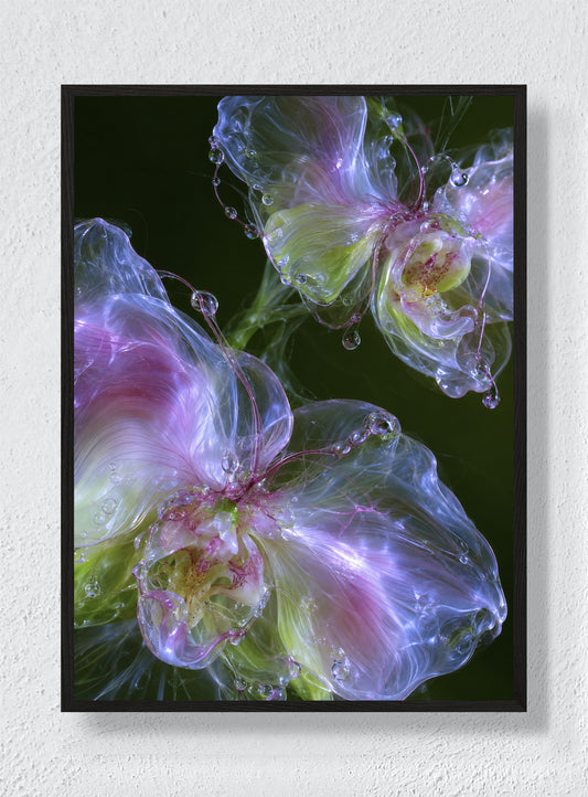 GLASS ORCHID - Black Frame