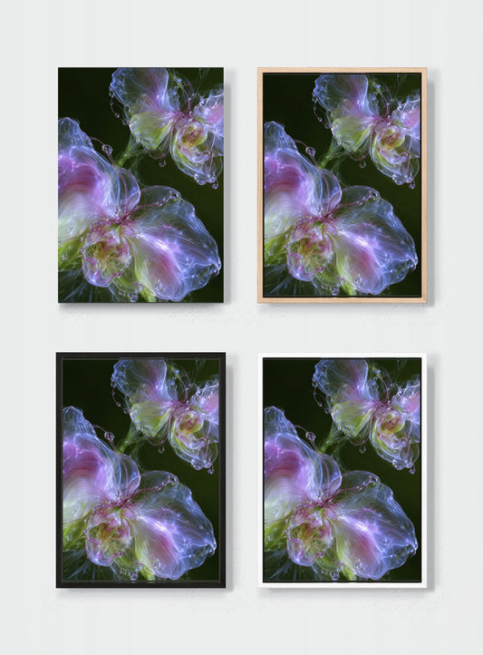 HUEDRA canvas frame comparison - GLASS ORCHID