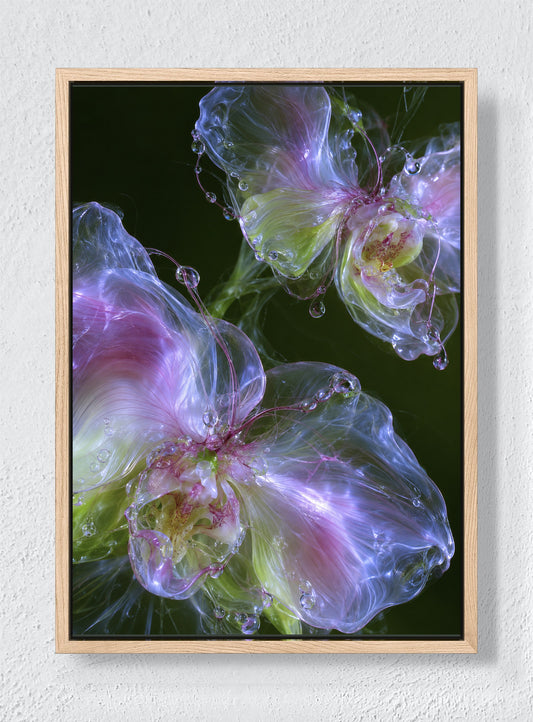 GLASS ORCHID - Natural frame canvas