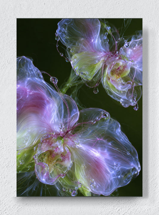 GLASS ORCHID - Unframed canvas