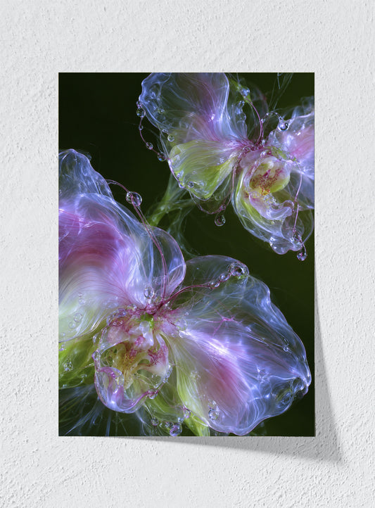 GLASS ORCHID - Unframed