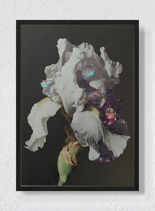 GLITCH IN THE GARDEN - Black frame canvas
