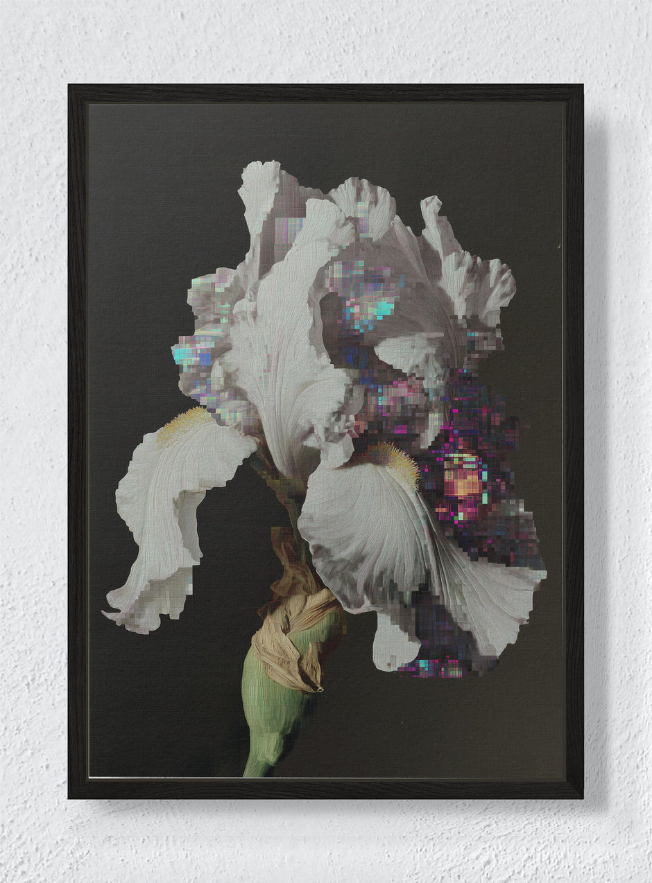 GLITCH IN THE GARDEN - Black frame canvas