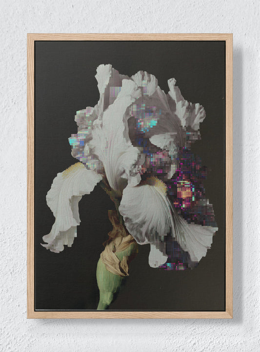GLITCH IN THE GARDEN - Natural frame canvas