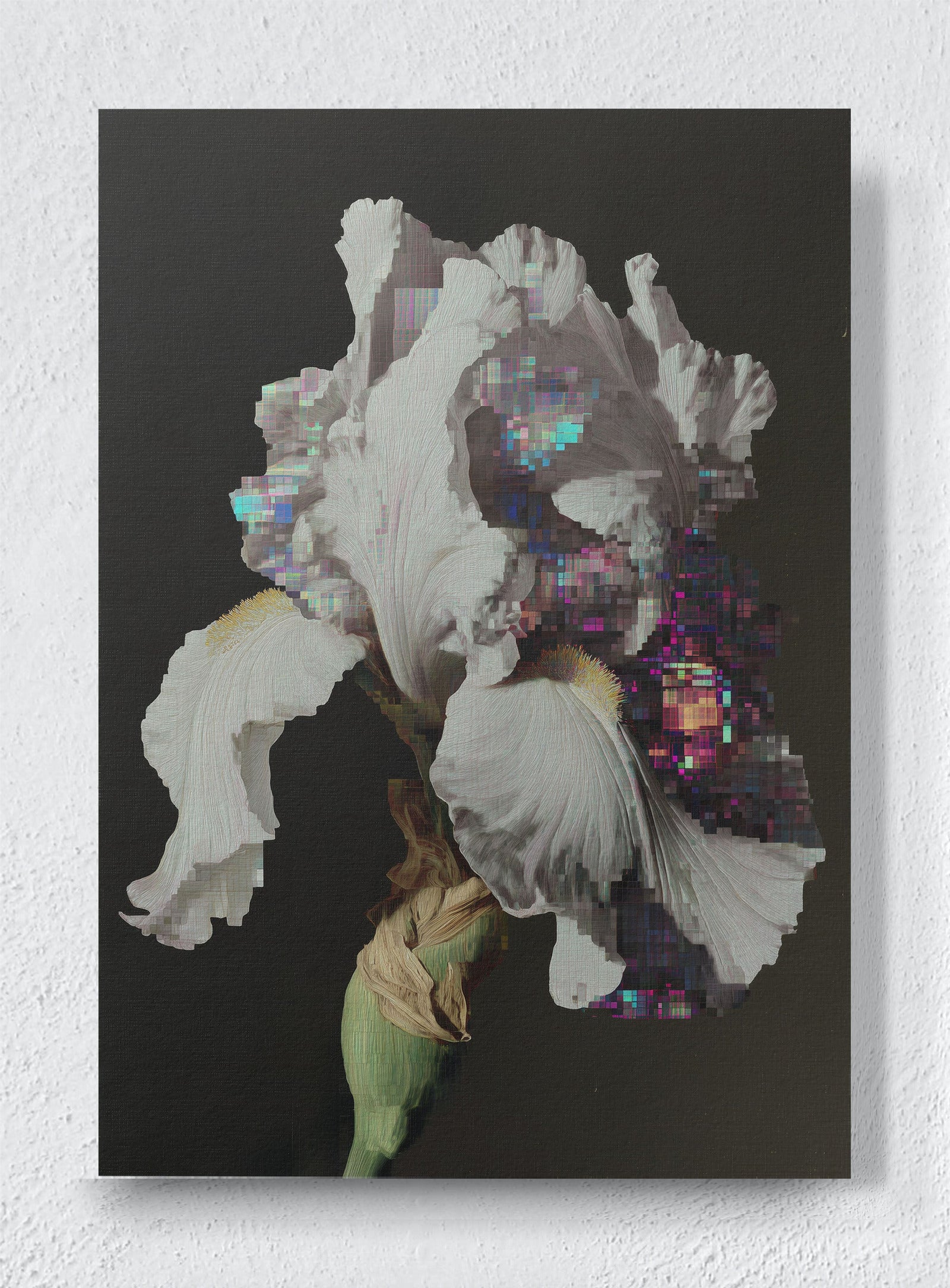 GLITCH IN THE GARDEN - Unframed canvas