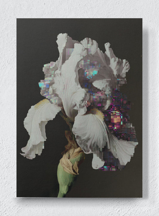 GLITCH IN THE GARDEN - Unframed canvas