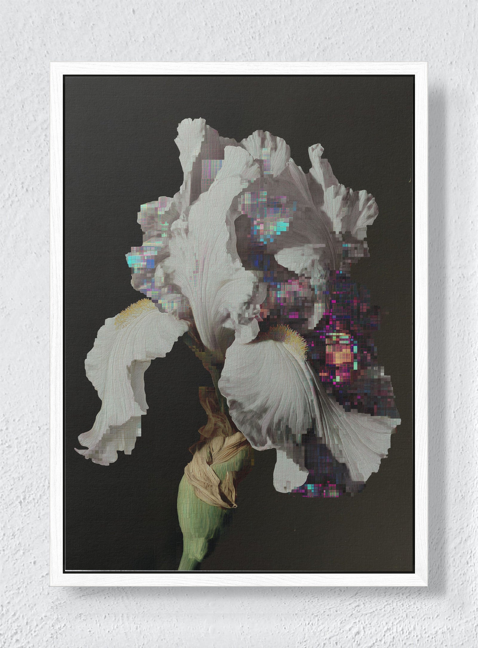 GLITCH IN THE GARDEN - White frame canvas