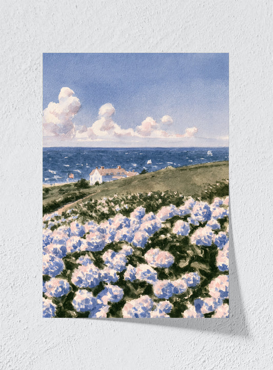 Hydrangeas By The Sea - Unframed