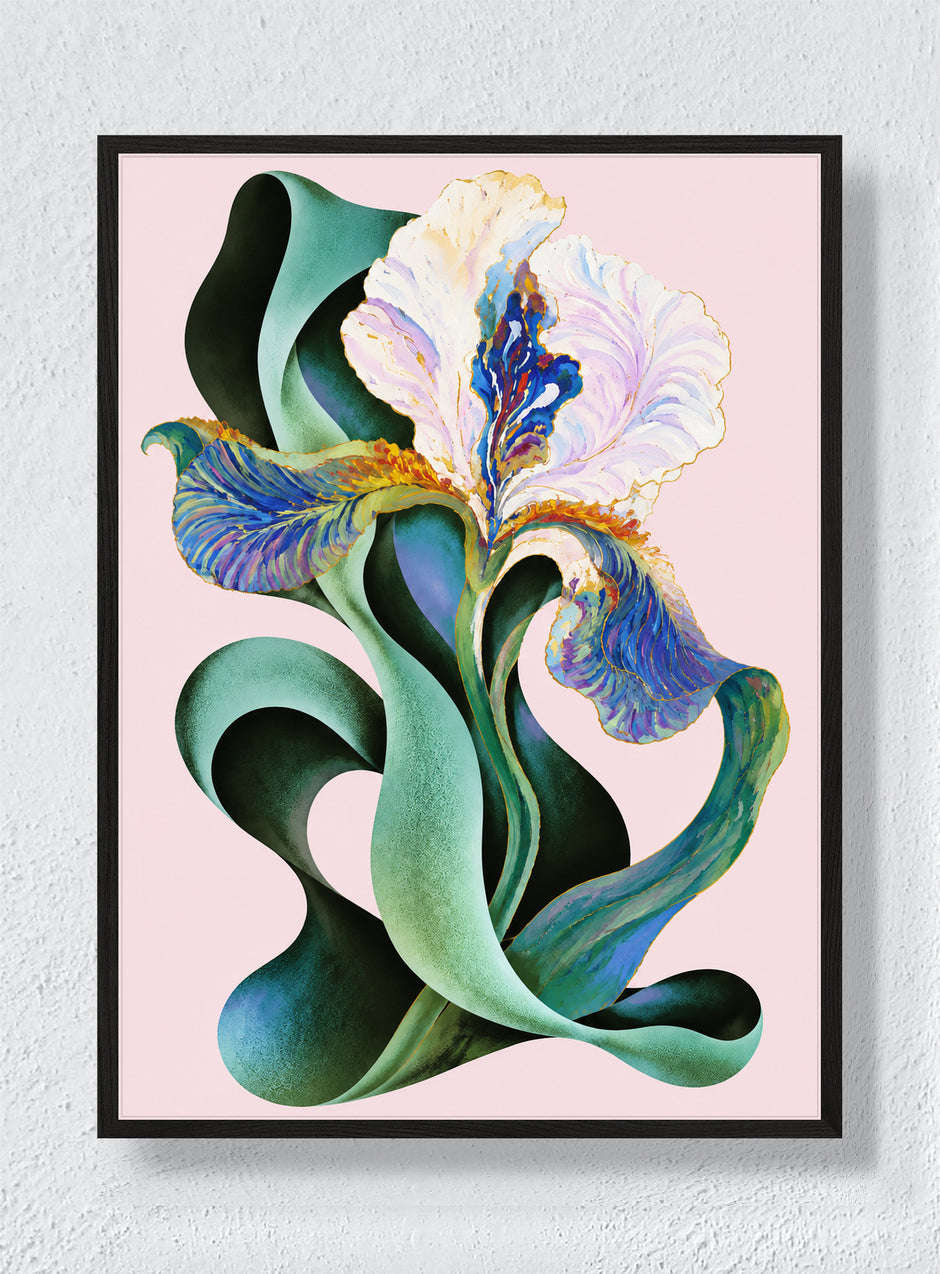IRIS IN SHADOW - Black Frame
