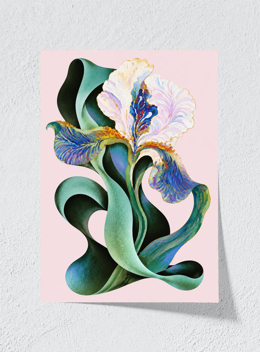 IRIS IN SHADOW - Unframed