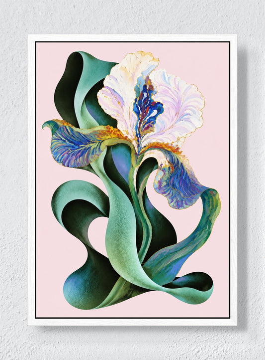 IRIS IN SHADOW - White frame canvas