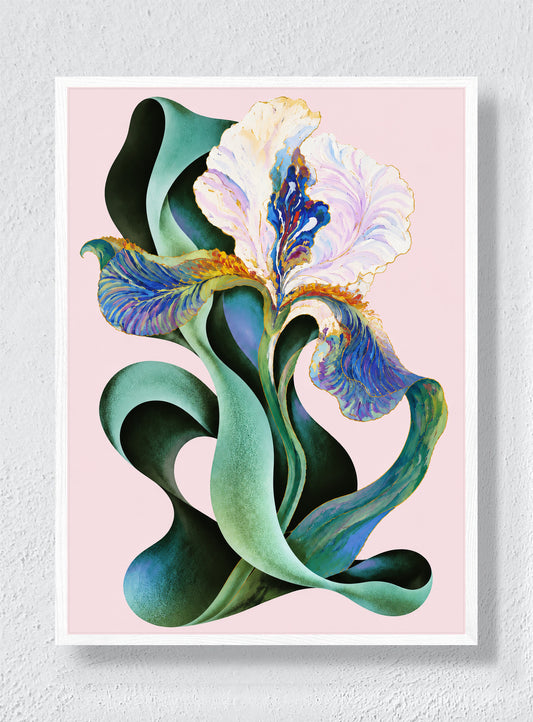 IRIS IN SHADOW - White Frame