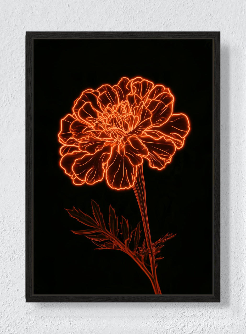 MARIGOLD AFTER MIDNIGHT - Black frame canvas