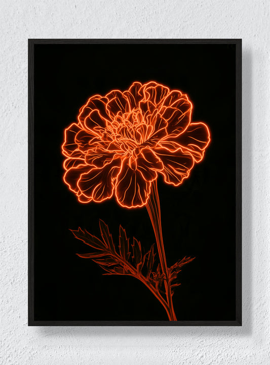 MARIGOLD AFTER MIDNIGHT - Black Frame