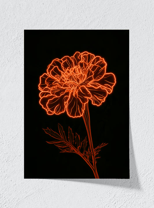 MARIGOLD AFTER MIDNIGHT - Unframed