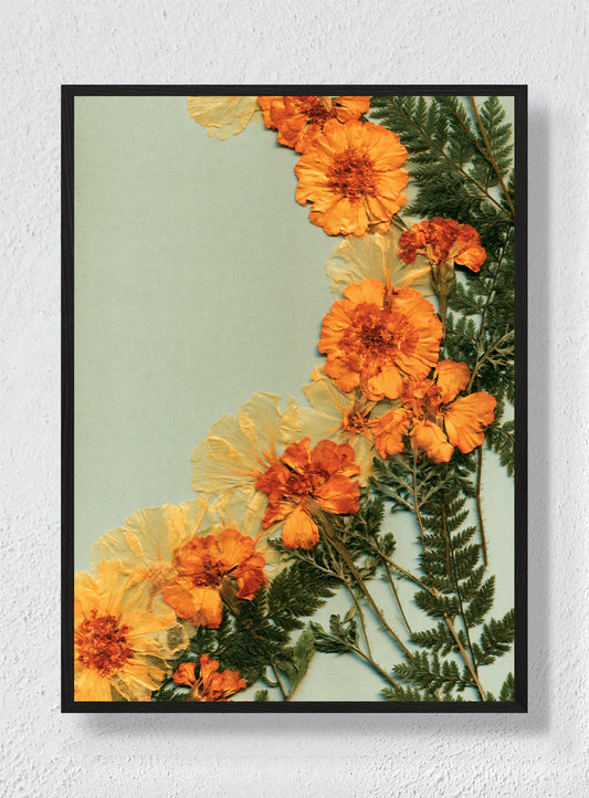 MARIGOLDS IN THE MARGIN - Black Frame